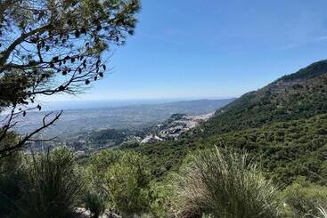 פנסיון Villa Fenavista