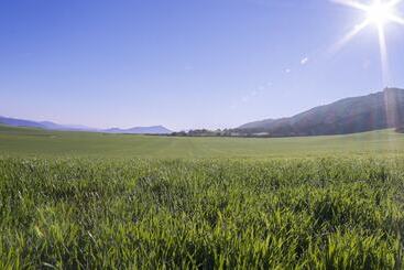 Hostal Rural Ioar