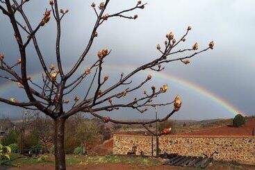 펜션 La Casa De La Estación