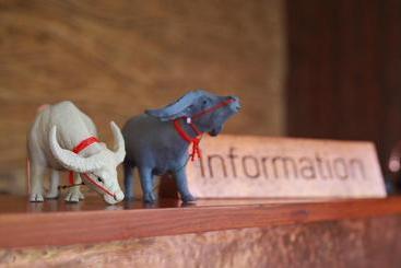 فندق The Buffalo Amphawa