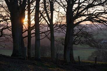 Hall Bed & Breakfast