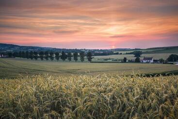 Pardlestone Farm B&b
