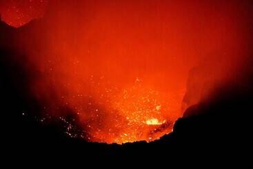 هتل Castle Tree House