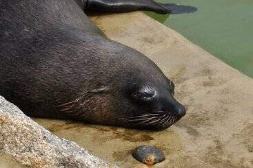 Tresowes Green Cottage