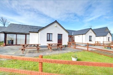 קוטג'' The Dairy