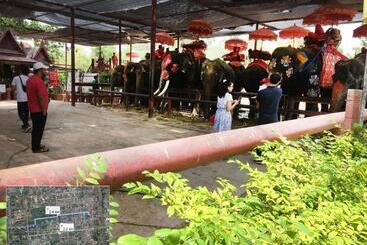 膳宿费 T&n Home Ayutthaya