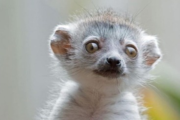 OYO Newquay Beach Hotel