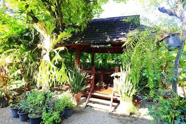 Отель Baan Thapae Boutique Resort And Thai & Relax Massage