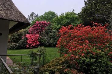 ペンション Stang Roz House