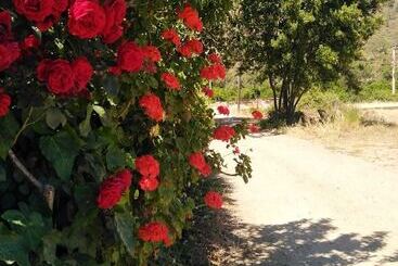 酒店 Mavi Pansiyon