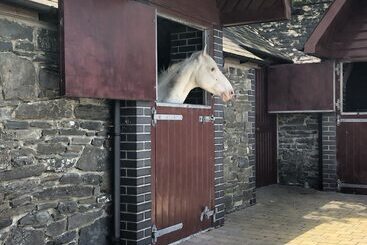 住宿加早餐  Llangwyryfon Country Breaks