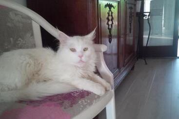 تختخواب و صبحانه Chambres D'hotes De Sauviolle