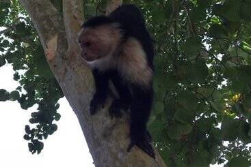 Отель Casa Moabi