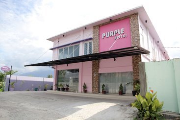 Purple Hotel By Oyo Rooms