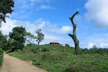 Finca El Recreo
