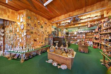 هتل David Wellness