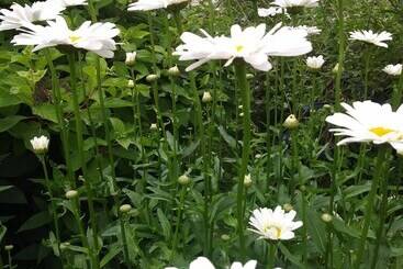 아파트 Glory Inn Downtown Bed & Breakfast