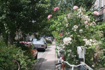 پانسیون The Little Guesthouse
