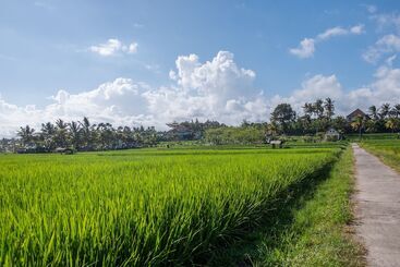 הוסטל Villa Sari By Oyo Rooms