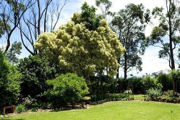 Fairlawn Estate