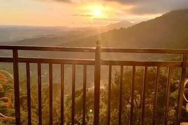 هتل Dewan Palace Dharamshala