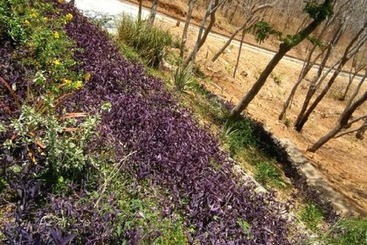 ホテル Green Acres Guesthouse