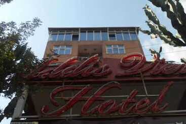 ホテル Addis View