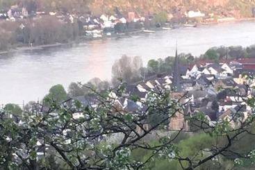 Отель Haus Mittelrhein