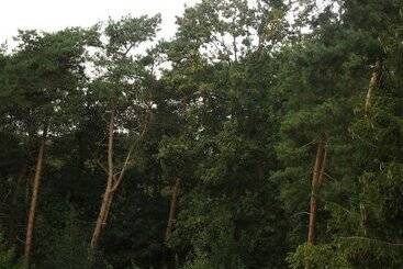 مبيت وإفطار De Loteling