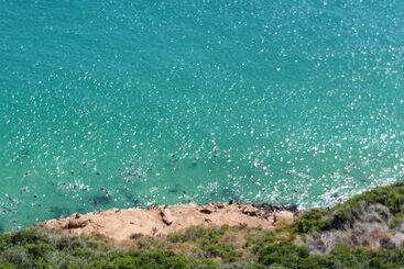 پانسیون 115 On Beachy Head Drive Guest House