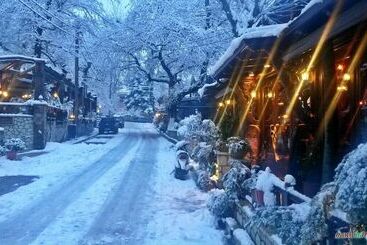 شقة فندقية Vintage Suites Trikala