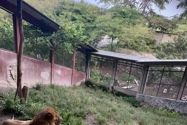 בית מלון כפרי Rancho Agua Salada