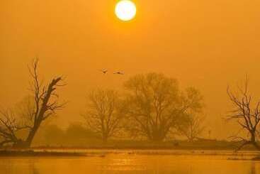 بنسيون Gasthaus Wagner