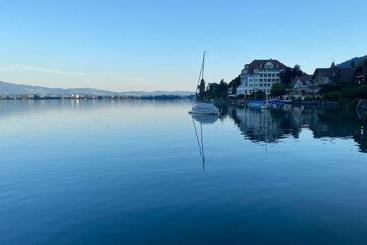 Hotel Restaurant Bellevue Au Lac