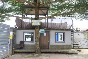 بنسيون Naturemark Gallery And Guest House