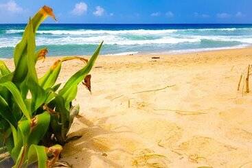 פנסיון Lali S Hikkaduwa Homestay