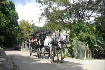 膳宿费 Reggae Moon Guest House