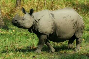 Hidden World Resort And Spa