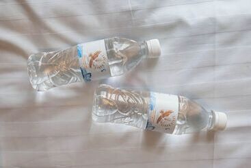 בית מלון כפרי Eagle House Inn