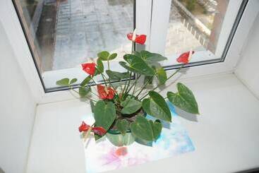 Like Hostel Tolyatti Sportivnaya