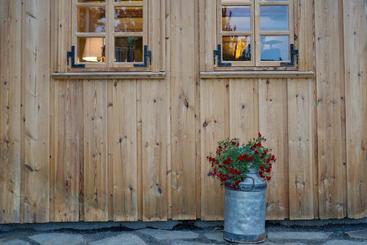 íslandsbærinn /old Farm