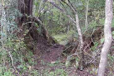 Пансион Engedi Retreat