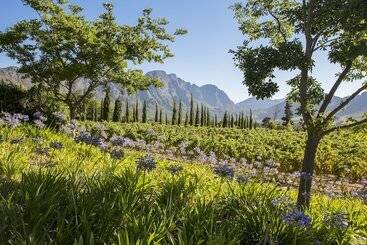 پانسیون La Providence Guest House & Wine Farm