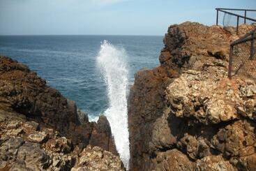 ペンション Eco Cabanas Marakolliya