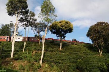 فندق Train View Chalet