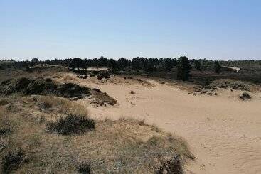 بنسيون Aagaarden