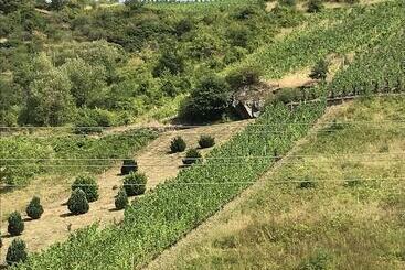 פנסיון Zur Fledermaus