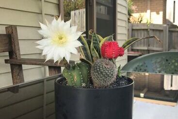 پانسیون Port Campbell Guesthouse & Flash Packers