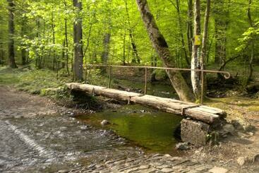 בית מלון כפרי Auberge Du Sabotier