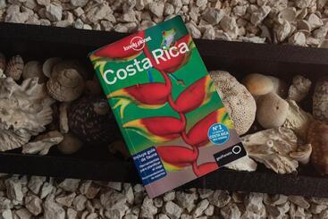 Пансион Boutique The Green Jungle House